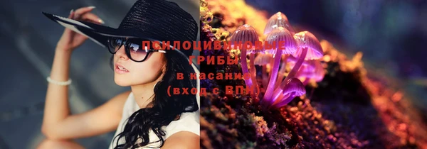 крисы Алзамай