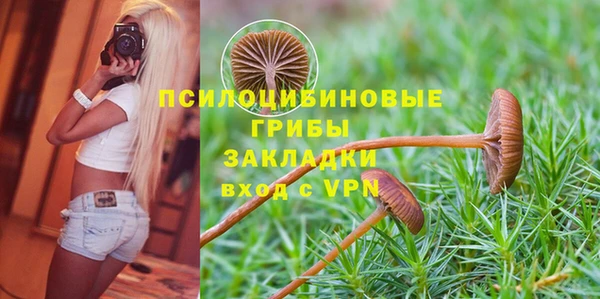 ГАЛЛЮЦИНОГЕННЫЕ ГРИБЫ Алексеевка