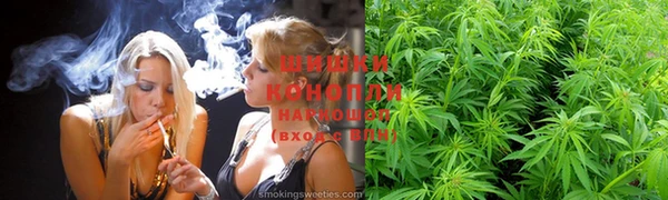ГАЛЛЮЦИНОГЕННЫЕ ГРИБЫ Алексеевка