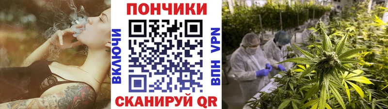 что такое наркотик  Приморск  кракен зеркало  Шишки марихуана тримм 